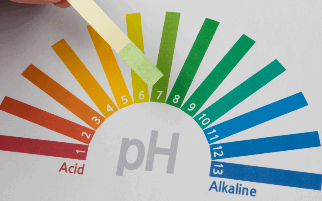 Understanding pH Balance in Soap