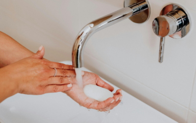 Why 2026 Will Be the Year of Regenerative Ingredients in Soap